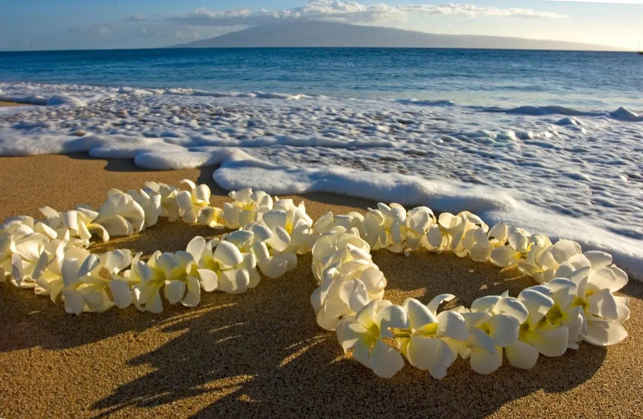 Charming Condo Steps From Waikiki Beach With Parking! 檀香山 0*,  美国